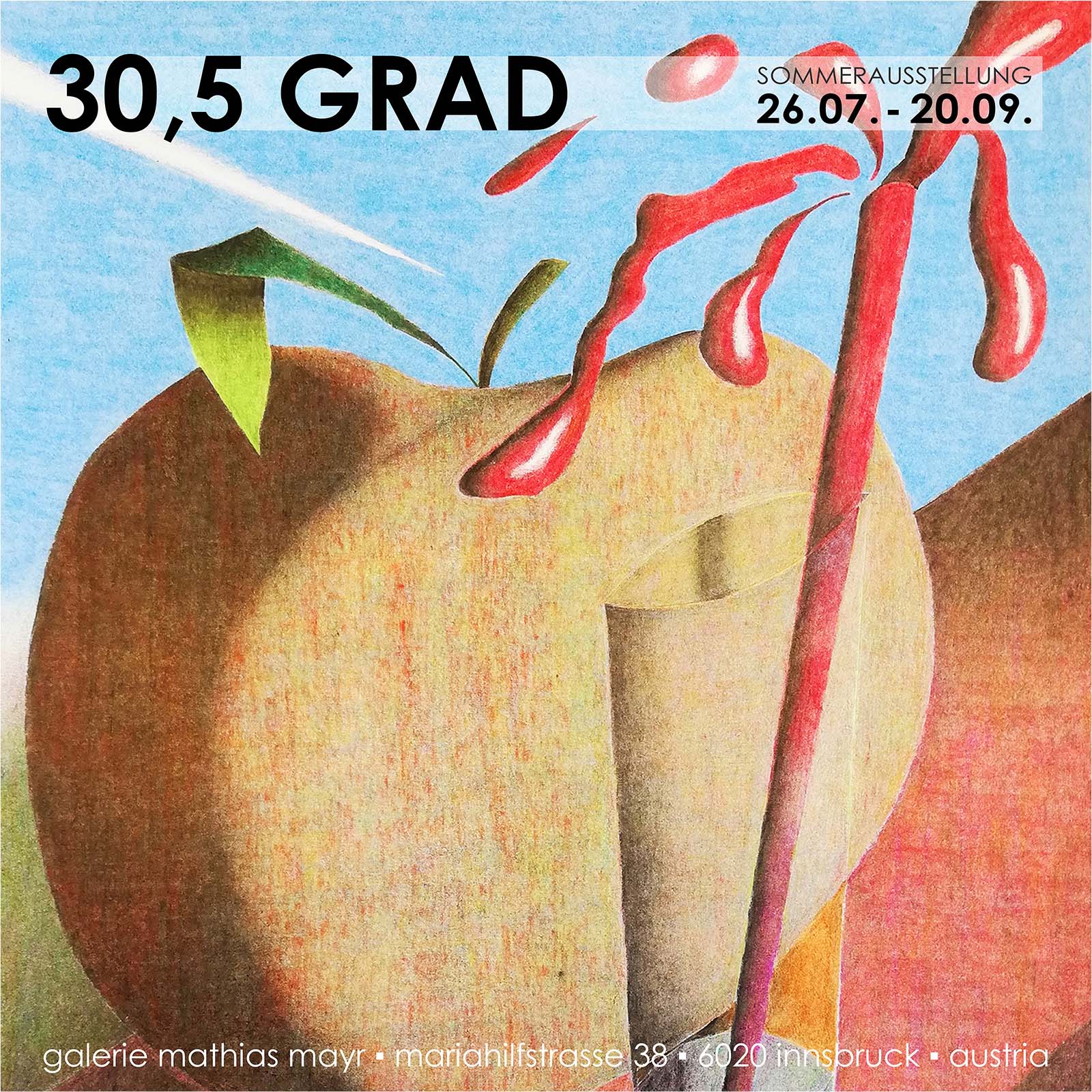 30,5 GRAD | summershow galerie mathias mayr