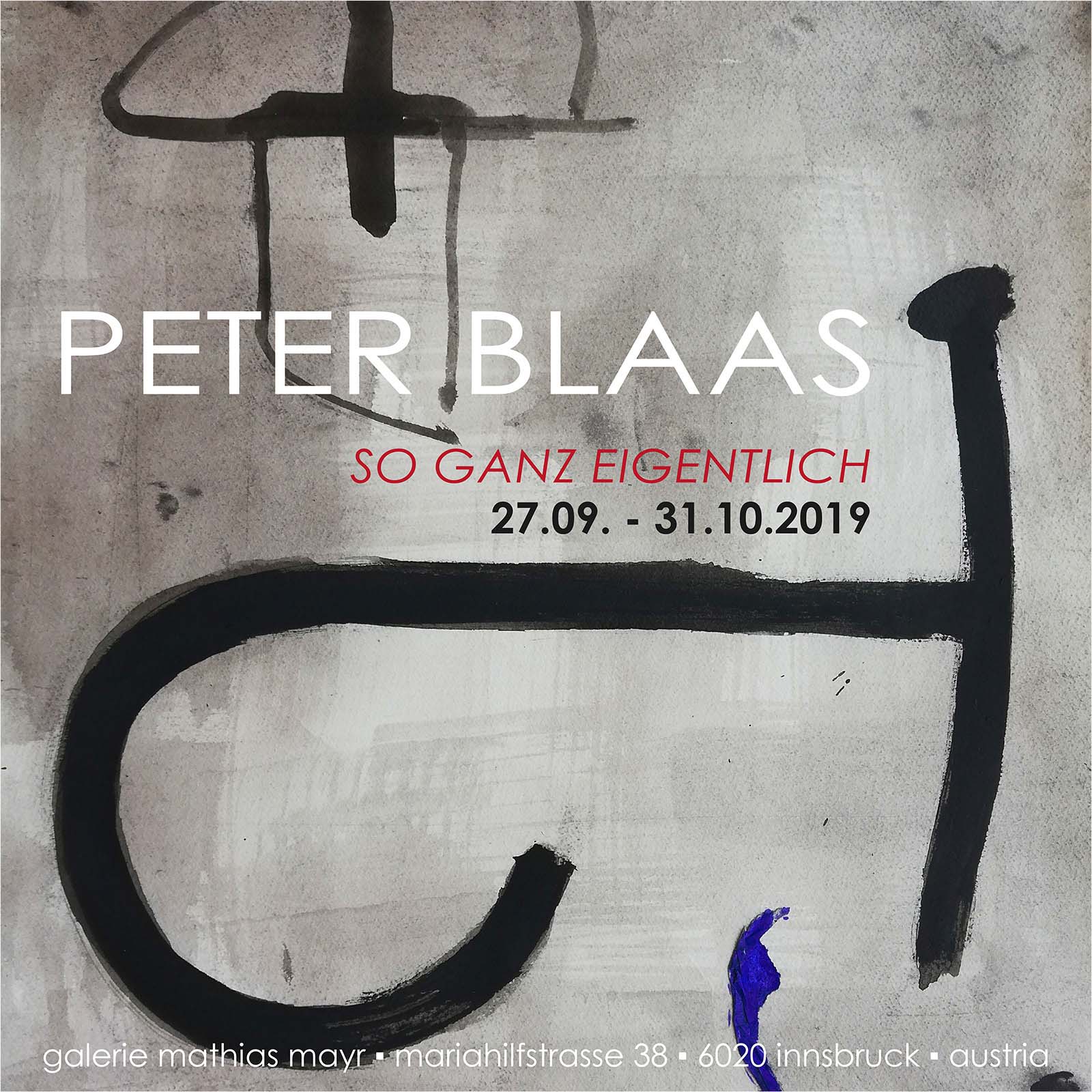 PETER BLAAS - so ganz eigentlich galerie mathias mayr